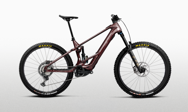 E-Bikes